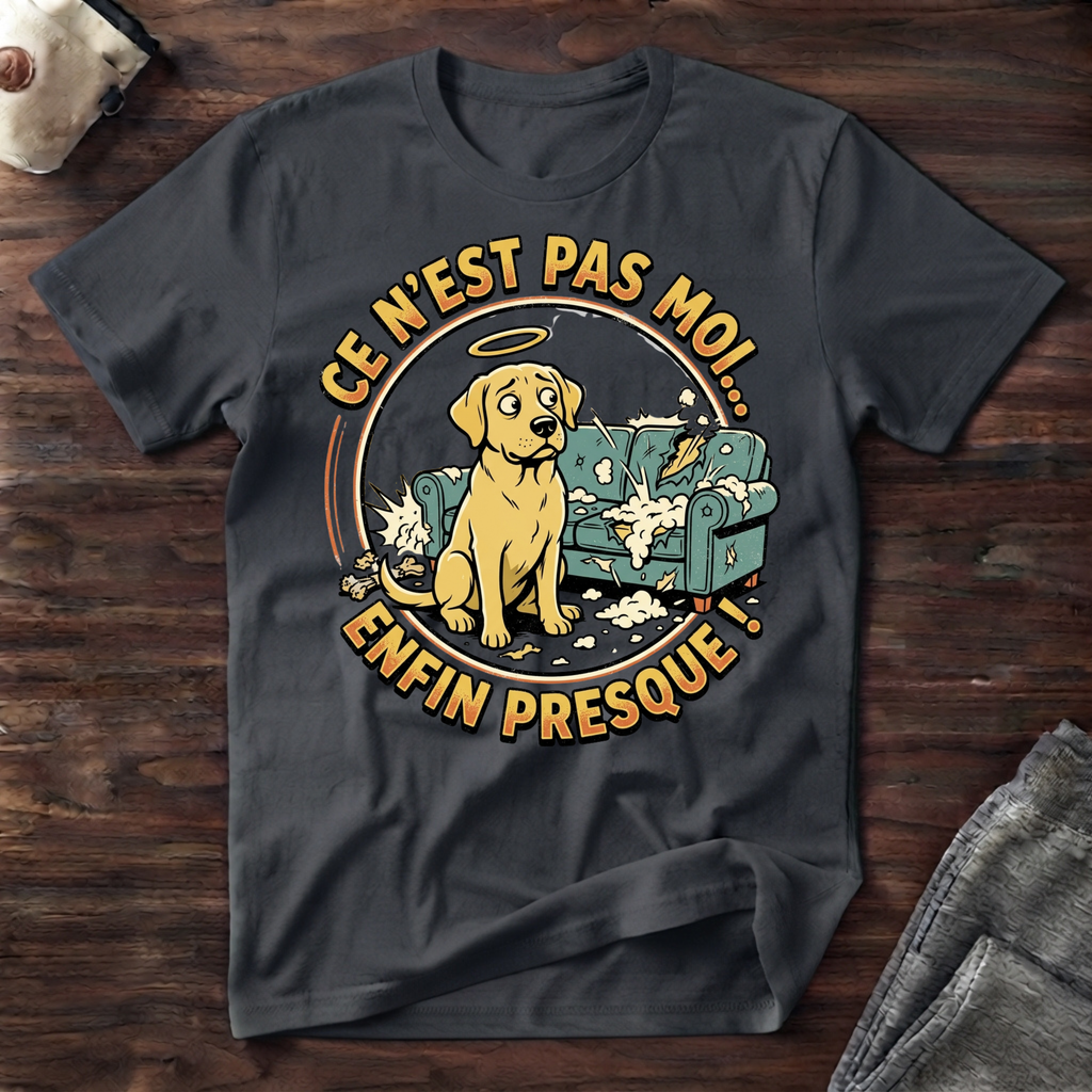 T-Shirt - Ce n'est pas moi... enfin presque