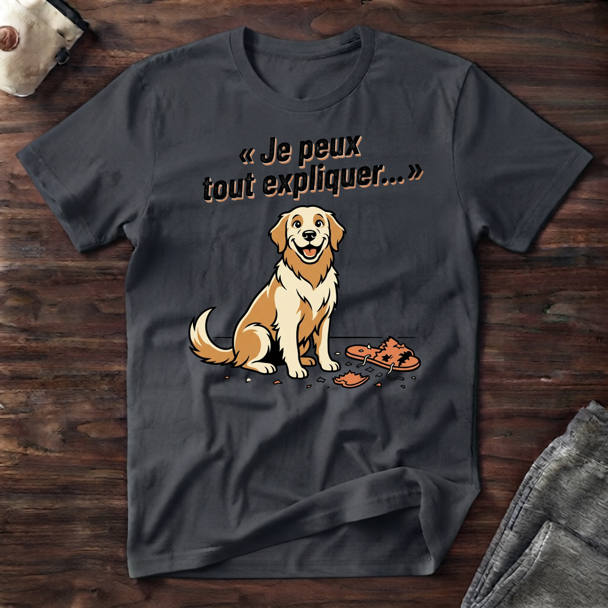 T-Shirt — Je peux tout expliquer...