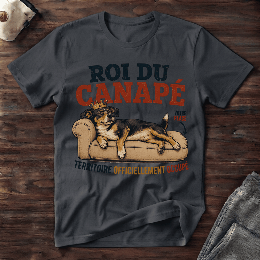 Roi du canapé - T-Shirt
