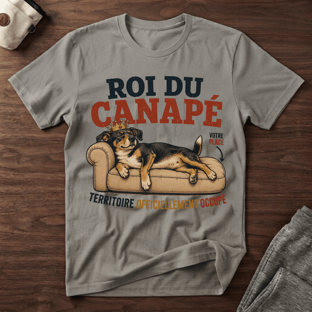 Roi du canapé - T-Shirt